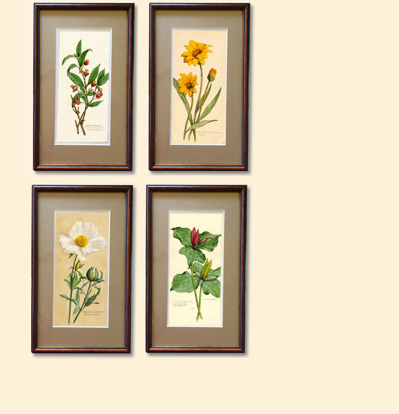 Image of four watercolors